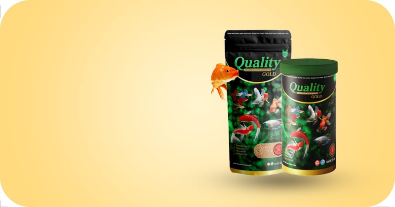 Fish Food