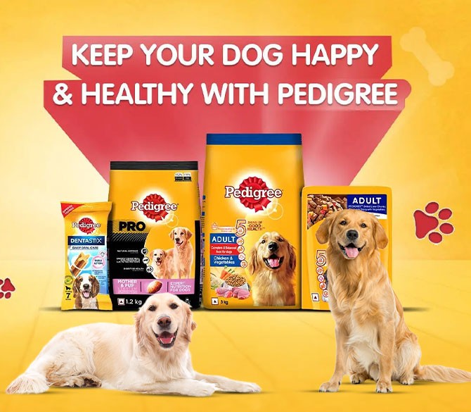 product-banner